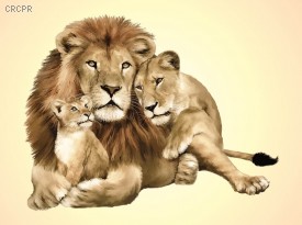 Imagem 6