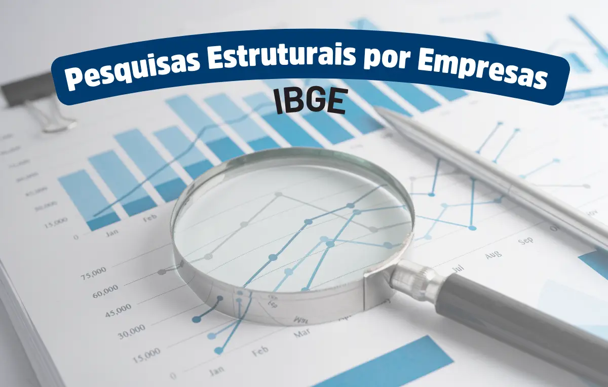Prazo para preenchimento de Pesquisas Estruturais por Empresas, disponibilizadas pelo IBGE, encerra-se no dia 7/8